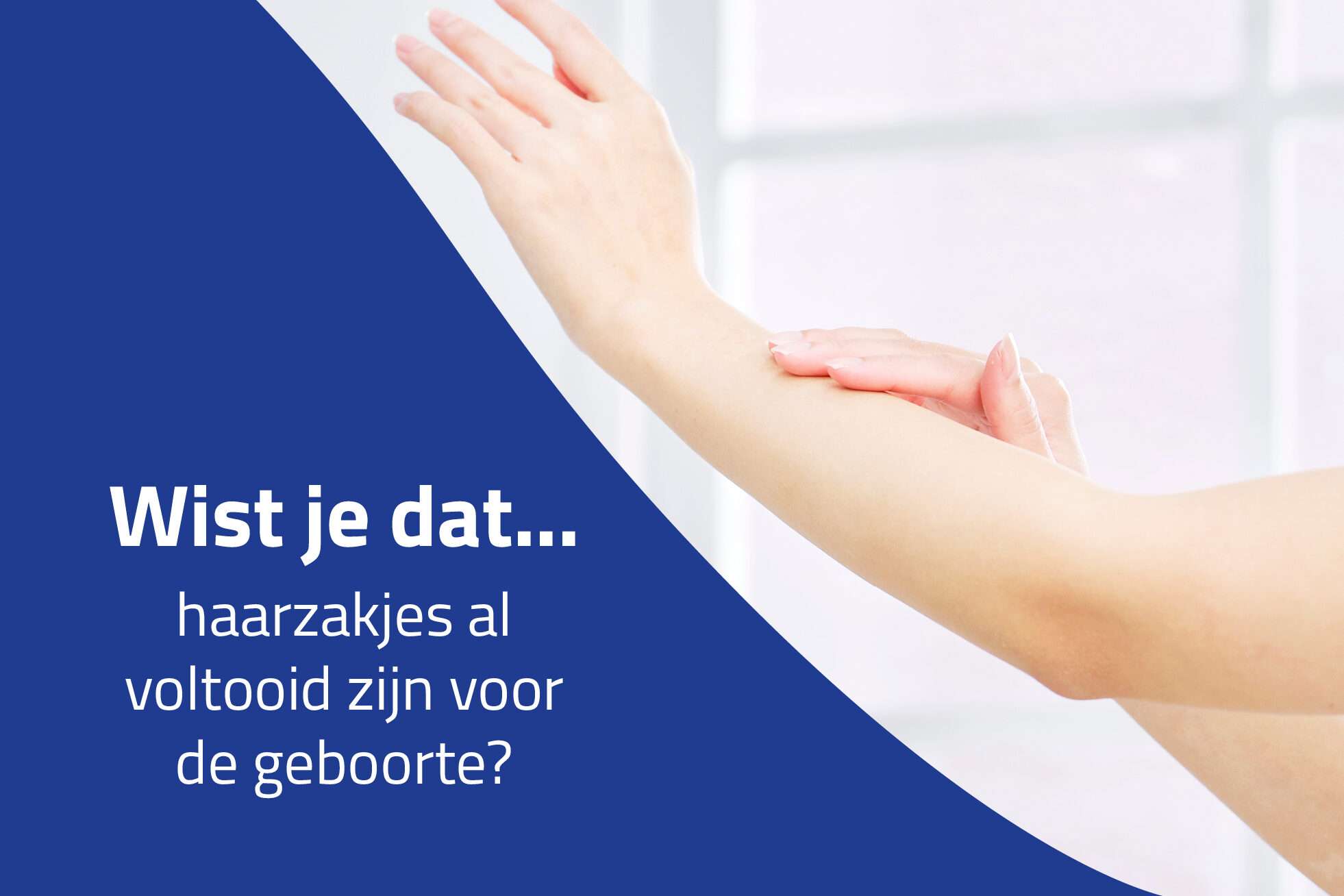 Wist je dat…